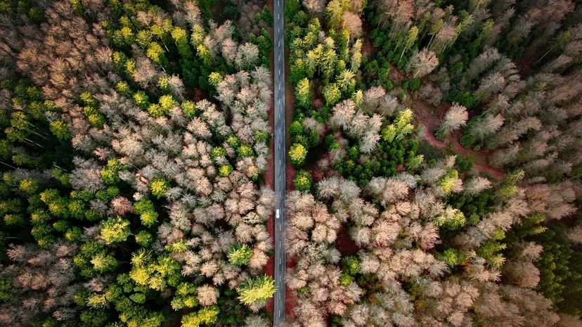 Pytanie o słabe strony. Komentarz rekrutera z Antal