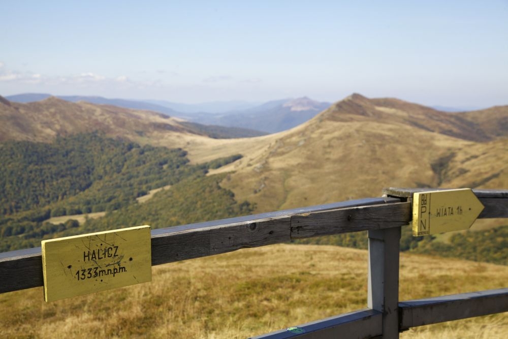 galeria zdjęć, obraz numer 5